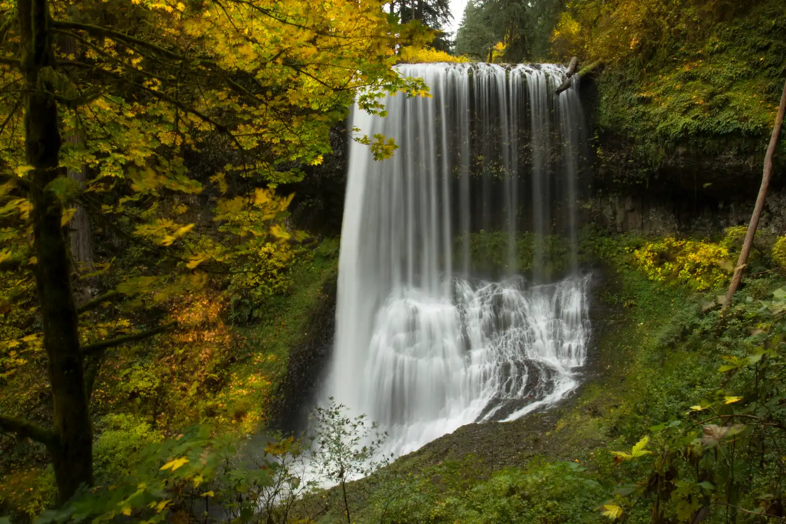 Silver Falls: Middle North Falls