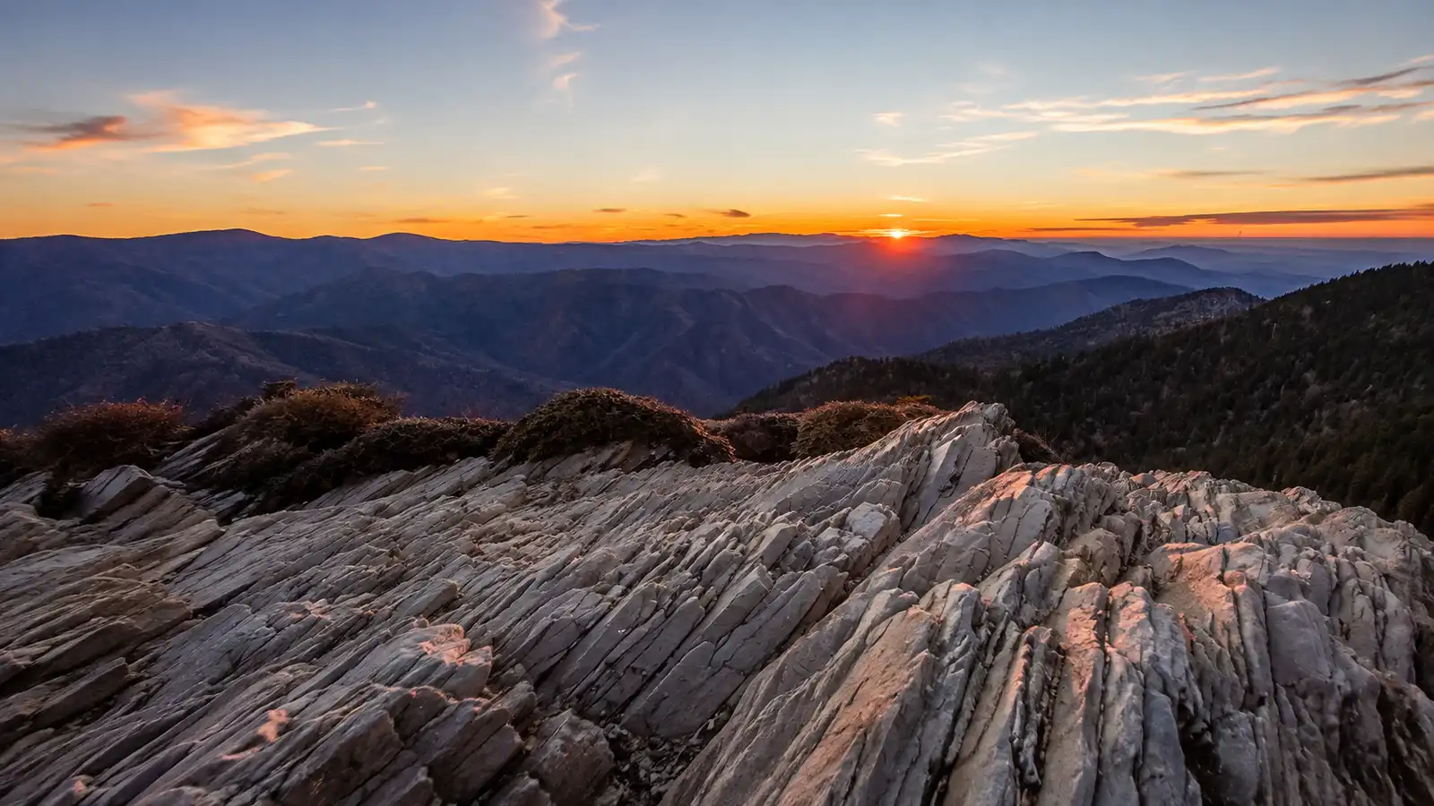 Great Smoky Mountains: Mt. Leconte