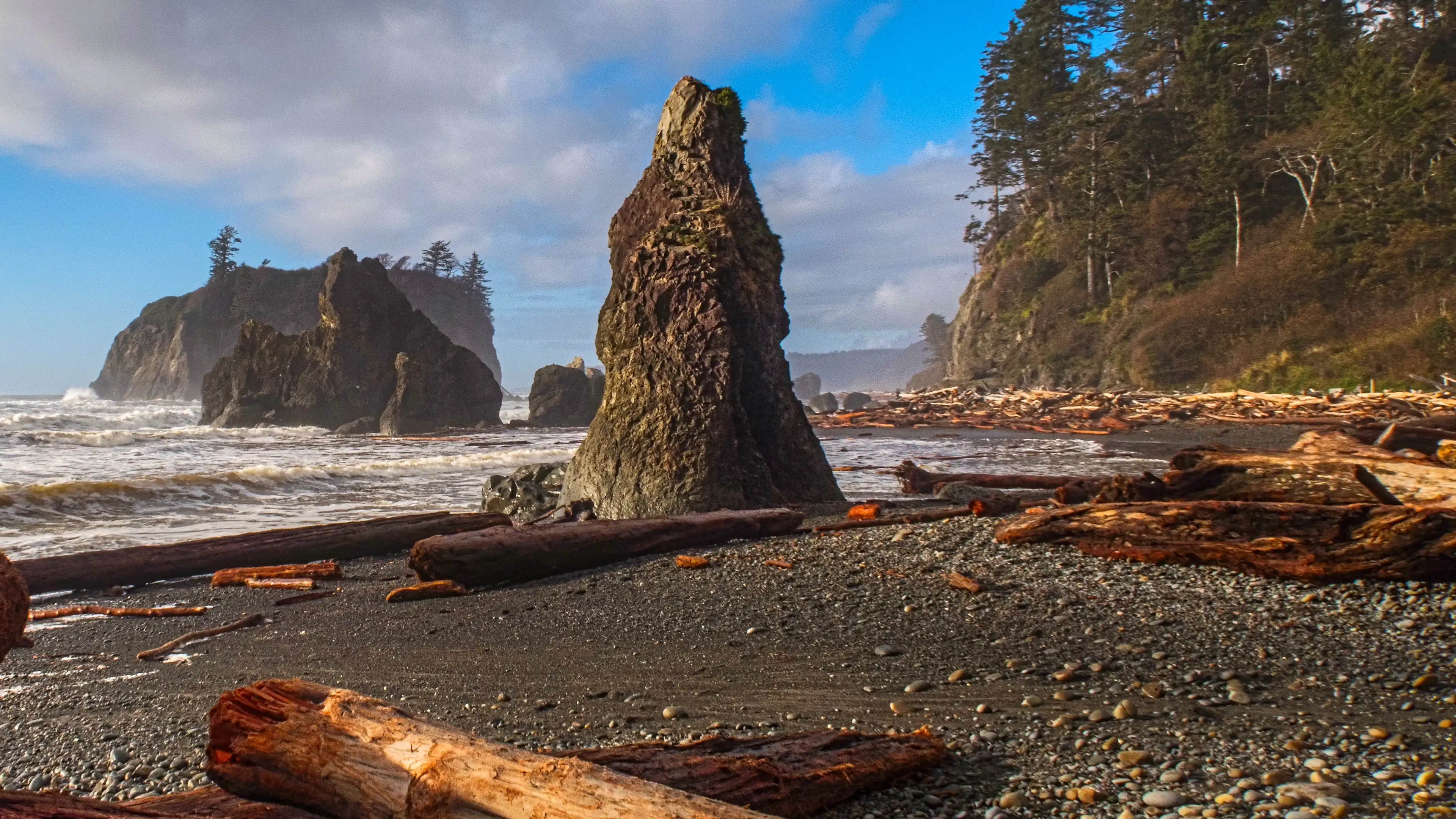 Olympic National Park: Ruby Beach
