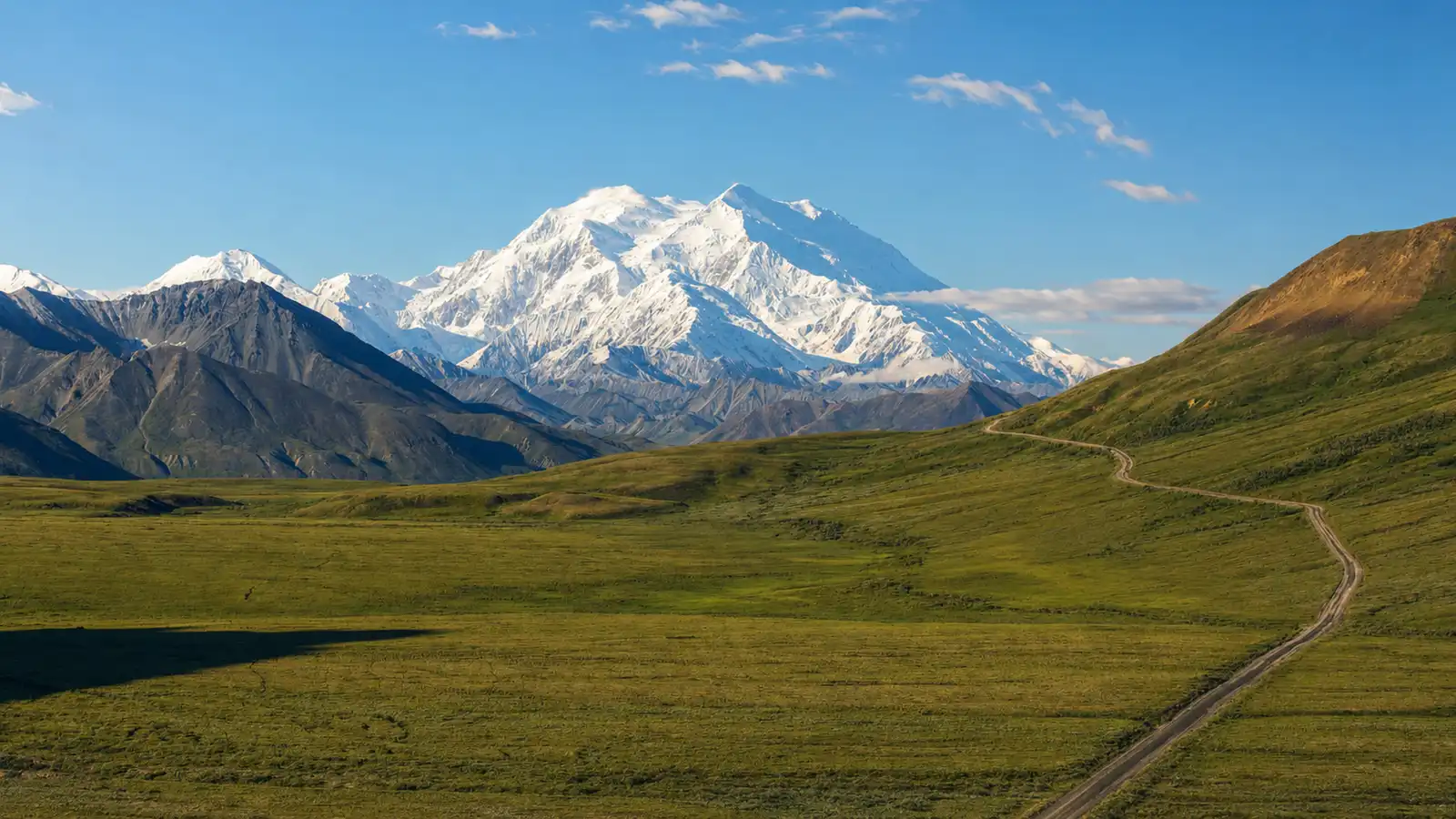 Denali: Stony Hill Overlook