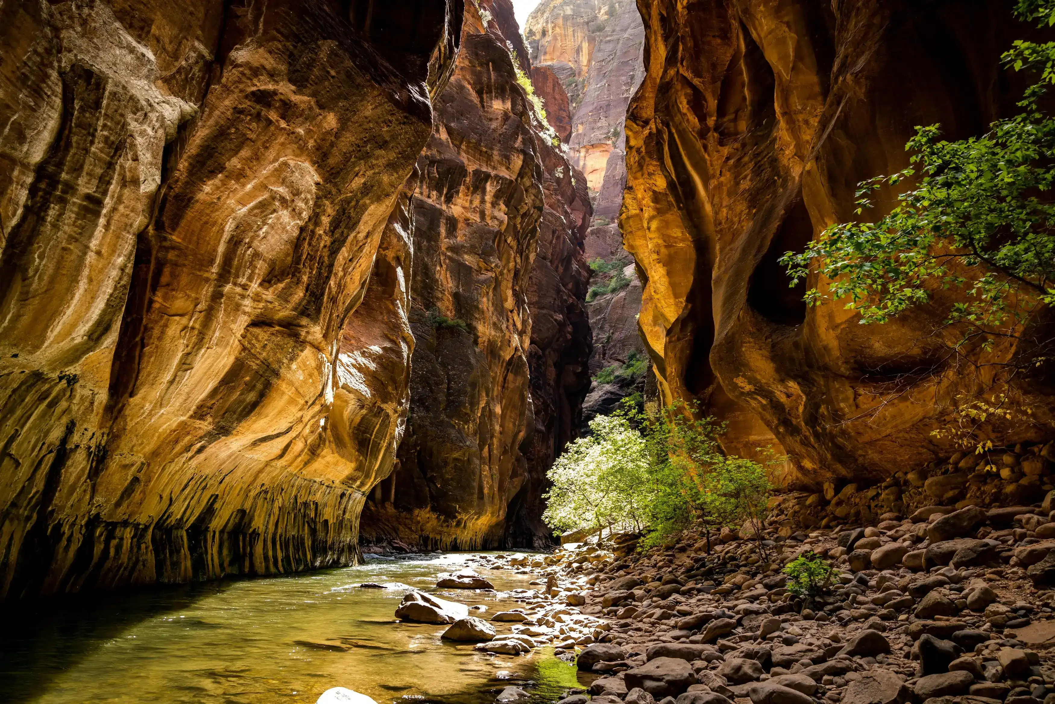 Zion: The Narrows