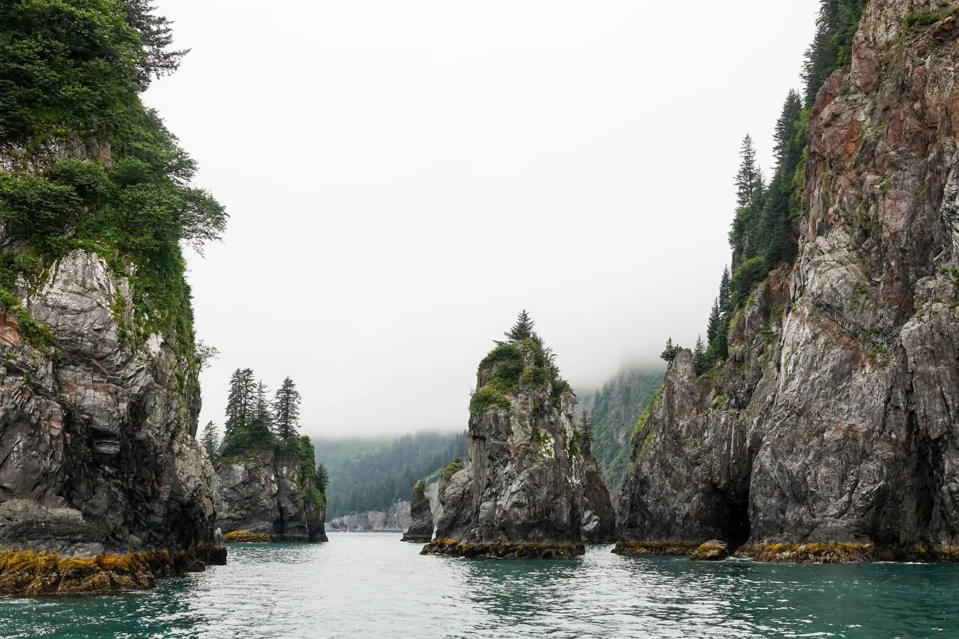 Kenai Fjords National Park Hat background