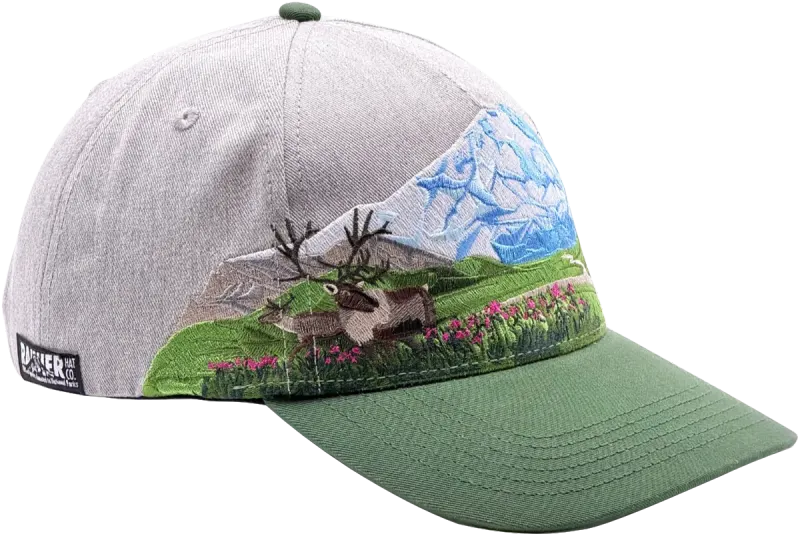 Photo of Denali National Park Hat