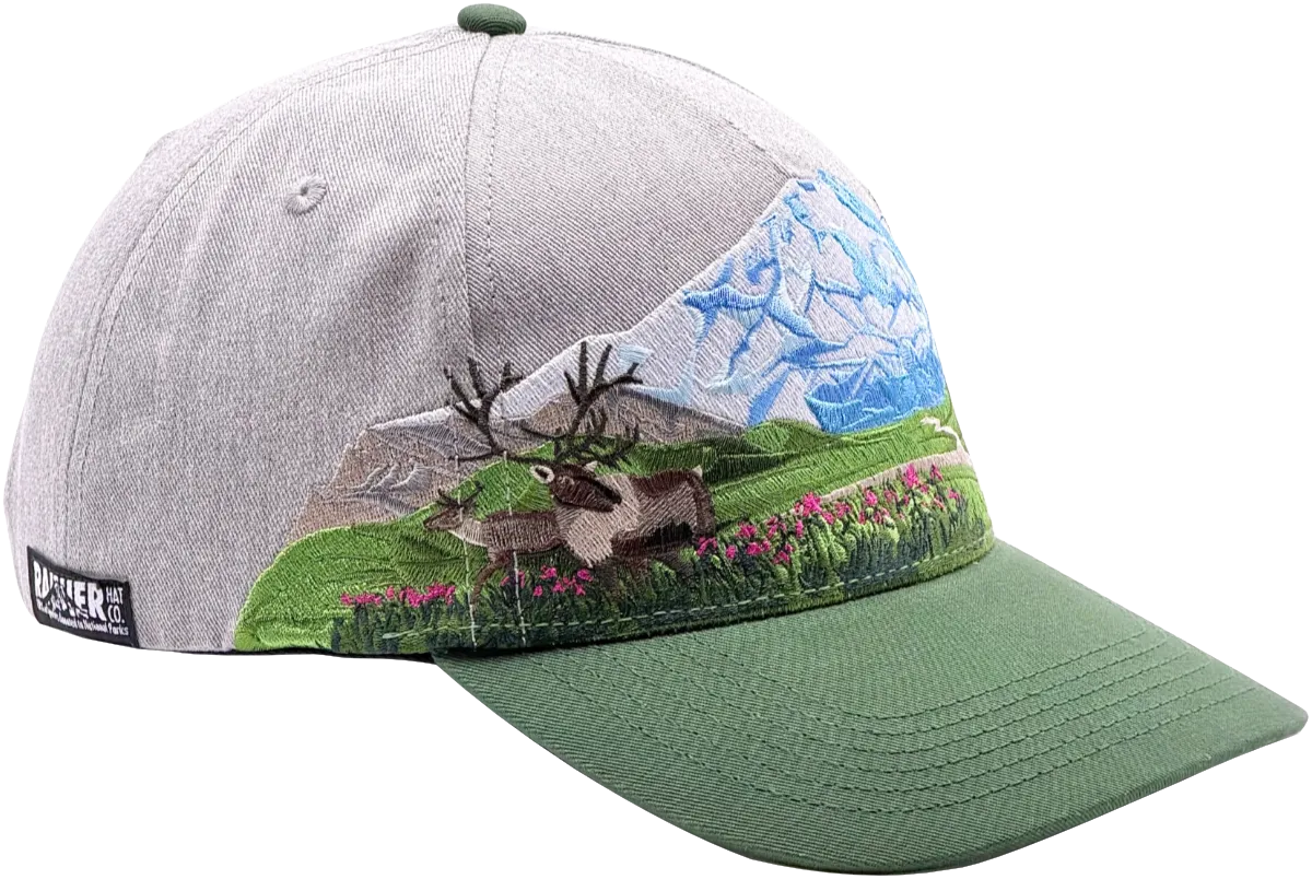 Denali National Park Hat
